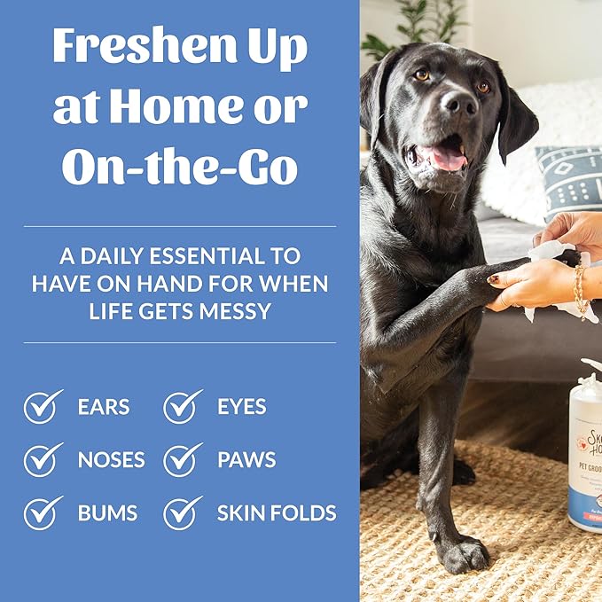 SKOUT'S HONOR Pet Grooming Wipes for Dogs and Cats - Deodorizing, Plant-Based, Biodegradable, Fragrance-Free - for Paws, Faces, Skin Folds & Bums, 80 Count, 2-Pack