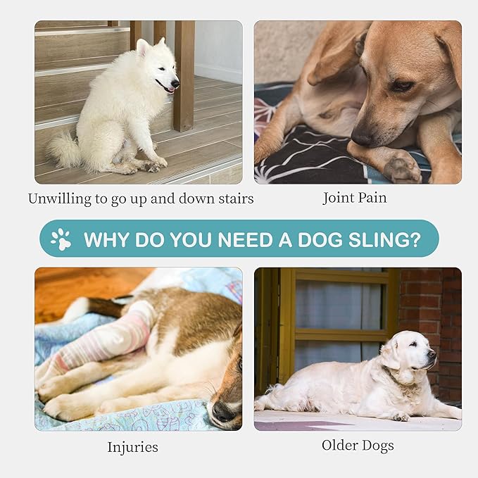 Dog Sling for Medium Dogs Hind Leg Support – Helps with Joint Pain, Mobility Issues, and Ivdd, Rear Leg Lift Harness with Chest Strap, Adjustable Elastic, and Reflective Material, M