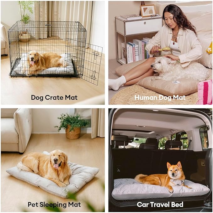 FUNNY FUZZY Dog Bed Crate Pad Mat, Washable Reversible Pet Floor Mats,Fluffy Kennel Pad for Large Sized Dog,Indoor Cats,Sleeping Mattress, 35.4" × 22.8", Light Grey