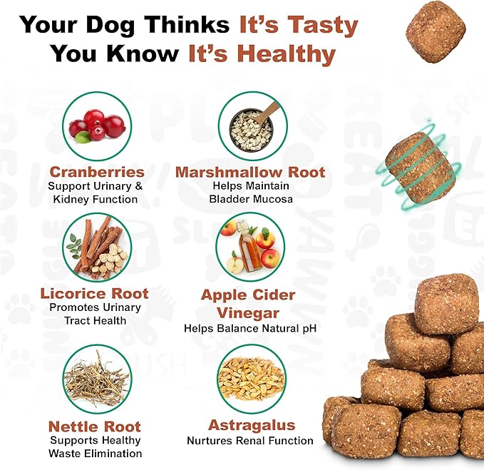 Doggie Dailies Cranberry Supplement for Dogs Bacon Flavored - Urinary Tract, Bladder & Kidney Support for Dogs - Cranberry with Marshmallow Root, Licorice Root & Apple Cider Vinegar, 225 Soft Chews