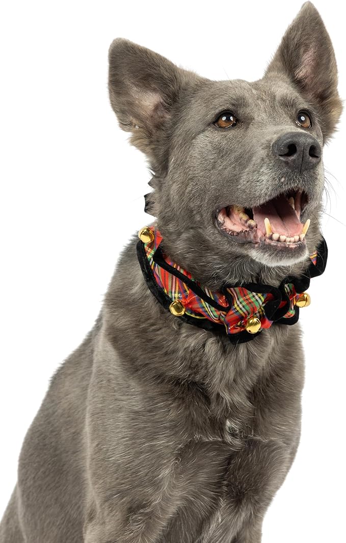 Huxley & Kent Ruff Pet Scrunchy | Shiny Christmas Plaid (Medium) | Festive Christmas/Holiday Neckwear for Dogs/Cats | Fun Stretchable Costume Accessory | Soft Collar with Bells