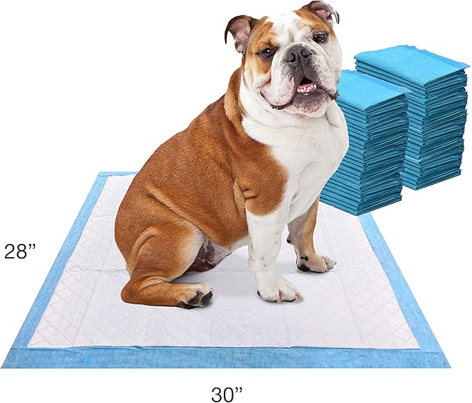 Four Paws Wee-Wee Odor Control with Febreze Freshness Pee Pads for Dogs & Puppies, Leak-Proof Dog Housebreaking Potty Training Floor Protection, Spring Fresh Scent, 22" x 23", 50 Count