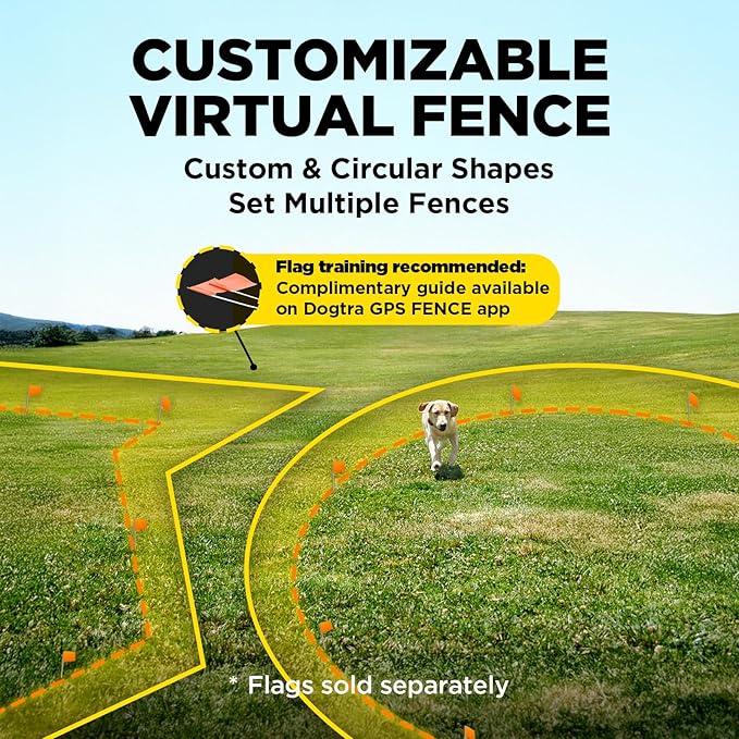 Dogtra Training Flags for GPS Fence – 50-Pack Neon Orange Boundary Markers – Flexible, Weather-Resistant Yard Flags for Invisible Fence Training, Pet Containment, and Safe Outdoor Dog Fence Setup