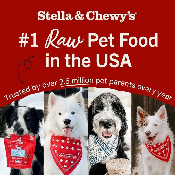 Stella & Chewy's Freeze-Dried Raw Dinner Patties - Duck Duck Goose Recipe - High Protein Grain-Free Puppy & Dog Food - Perfect For Picky Eaters - 25 oz