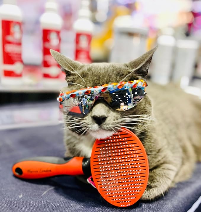 Warren London Self-Cleaning Cat Pin Brush | Push-Button Fur Ejector, Bead-Tipped Nylon Pins – Gentle Shedding & Detangling for Cats, Kittens, Rabbits, Ferrets & Small Dogs | Ergonomic Anti-Slip Grip