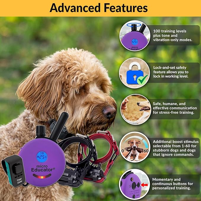Educator E-Collar Humane Dog Training Collar with Remote, 100 Safe Tapping Stimulation Levels, Night Light, Waterproof, Rechargeable, 1/3 Mile 2 Small Dogs Double Bungee Collar Bundle, Purple