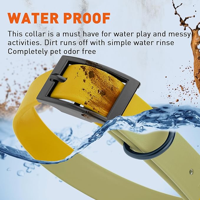 Dogline Biothane Waterproof Dog Collar Strong Coated Nylon Webbing with Black Hardware Odor- Proof for Easy Care Easy to Clean High Performance Fits Small Medium or Large Dogs, Treasure Gold