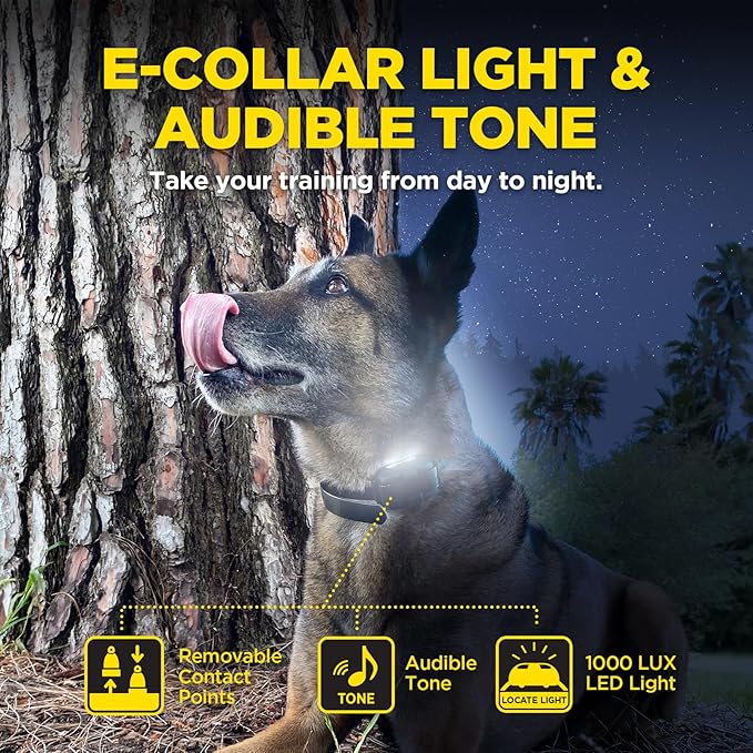 Dogtra 280X 2-Dogs E-Collar with Remote [New Edition] 10 lbs+, 1/2 Mile Range, LED Light, 100 Levels of Control for Stubborn Dogs, Waterproof, Boost for Quick Recall, Vibration, Safety Lock & Tone