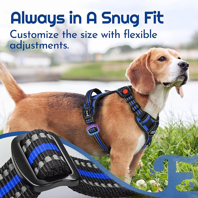 Eagloo Dog Harness for Large Dogs, Easy Wearing with 3 Buckles, Adjustable No Pull Pet Harness with 2 Rings for Walking, No Chock Reflective Soft Padded Vest with Control Handle, Blue & Black, XL