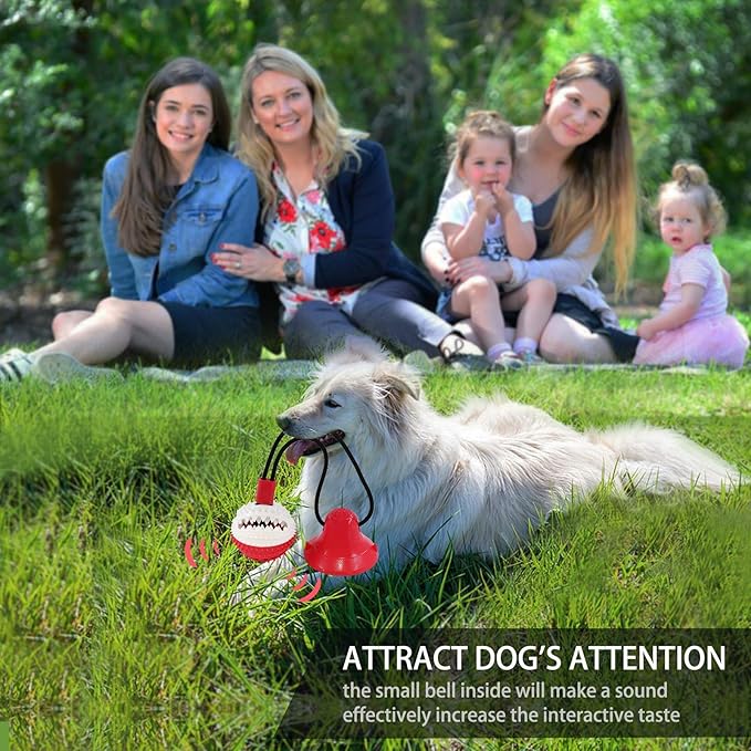 Dog Toys, Dog Chew Toys for Aggressive chewers,Rope with Suction Cup for Puppy Training Treats Teething for Boredom, Small Dog Puzzle Toy Treat Food Dispensing Ball (red)