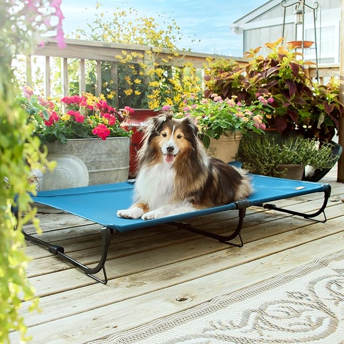 Folding Raised Dog Cot, Large Outdoor Elevated Dog Bed, Cooling Chew Proof Pet Cots Bed, Portable, Heavy Duty Up to 160 lbs, Pet Cot for Camping, Home, Dark Blue, 43"x27"x7"