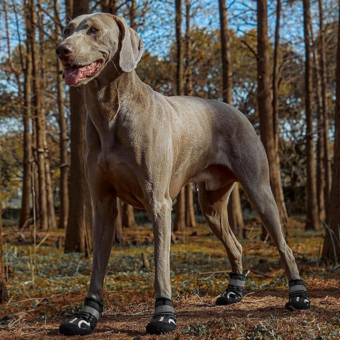 Dog Shoes for Large Dogs, Waterproof Dog Booties for Small Medium Dogs, Anti-Slip Dog Boots & Paw Protectors for Hot Pavement Winter Snow Hiking with Reflective Straps (Black, 6# (L))