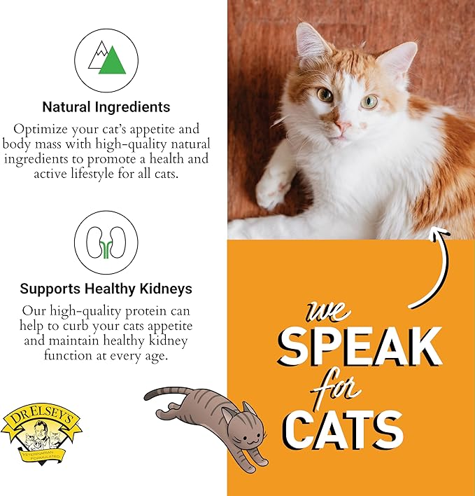 Dr. Elsey's cleanprotein Protein Bites Turkey 6 oz.