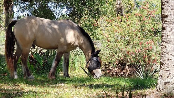 EquiVizor 95% UV Eye Protection (COB) Standard Horse Fly Mask - Help with Uveitis, Corneal Ulcer, Light Sensitivity. Designed to Stay On Your Horse, Off The Ground.