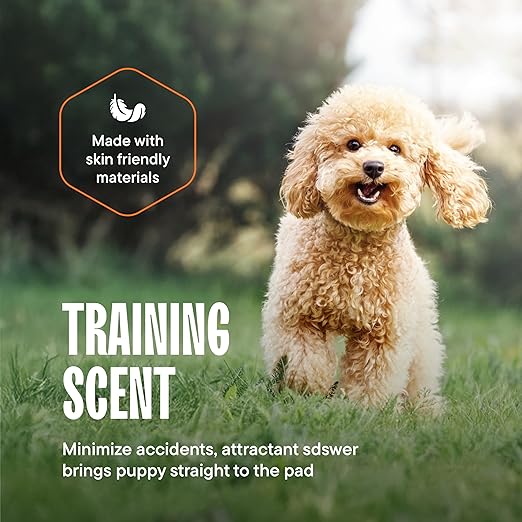 Dog Pads Large Pet Pee Pads for Dogs & Puppy Training 34" x 36" Potty Pads for Dogs [50-COUNT] Leak-Proof Dog and Puppy Pads - Quick-Dry Surface - Heavy Duty Absorbent Disposable Dog Wee Pad Bulk Pack