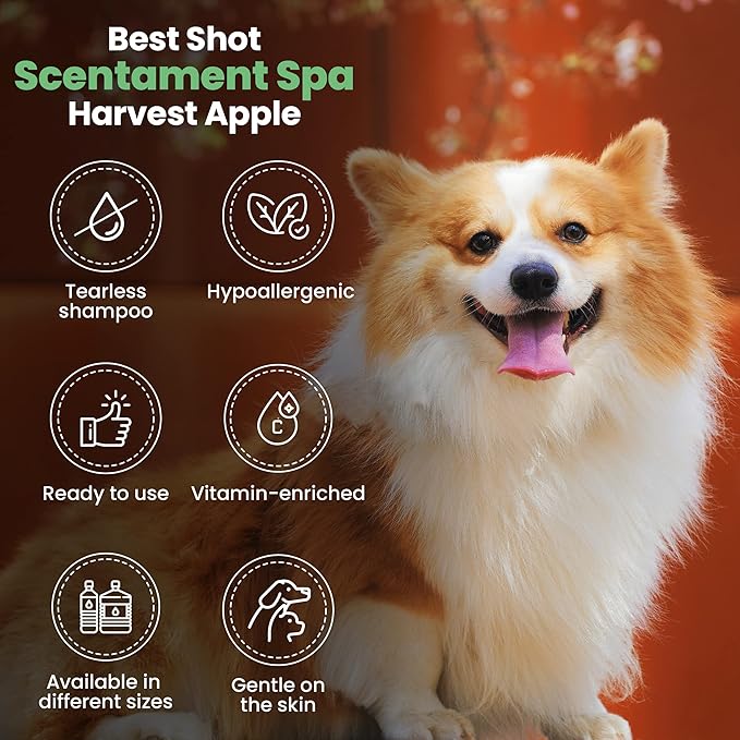 Best Shot Scentament Spa Seasonal Facial & Body Wash, Harvest Apple, 16 oz