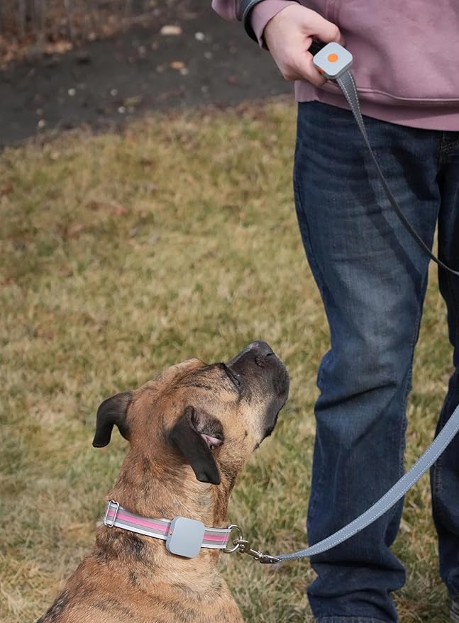 Dog Training Device - The Original Kona Clip Designed in The USA Vibration Correction with Remote Controller Small, Medium, Large Dogs Leash Training, Waterproof, Rechargeable