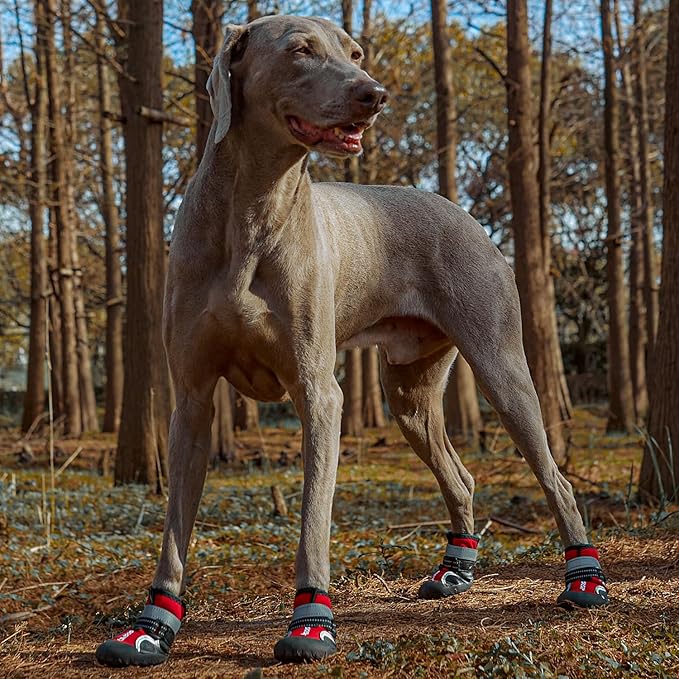 Dog Shoes, Waterproof Dog Boots & Paw Protectors with Anti-Slip Sole, 4pcs/Set Pet Dog Booties, Reflective Dog Shoes for Small Medium Large, Winter Snowy Summer Hot Pavement (Red, 7# (XL))