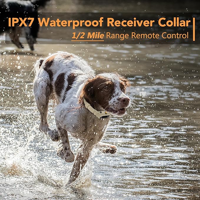 Dog Training Collar 2 Dogs with APP Control - 1/2 Mile Range E Collar for Dogs, Bluetooth-Enabled Waterproof Electric Collar for Large Dogs (15-140 lbs)