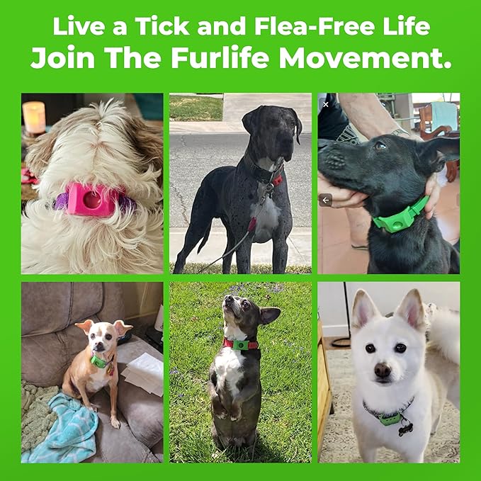 FurLife Green Dog Tag, Flea and Tick Prevention for Dogs - Waterproof Pendant for Collar, Safe for All Breeds