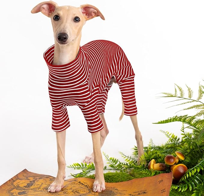 Dog Sweaters for Small Dogs Girls Boys, Striped Pet Sweaters for Fall Winter Dog Clothes, Turtleneck Pullover Knitwear for Small Medium Large Dogs