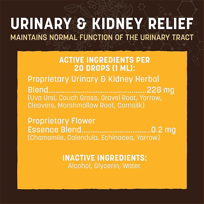 Earth Animal Herbal Remedies | Urinary and Kidney Relief | 2 fl oz