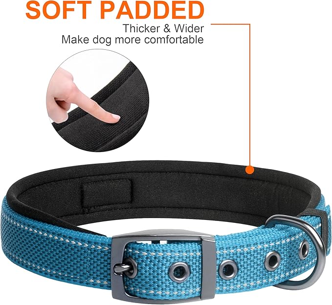 Fida Heavy Duty Dog Collar, Ultra Comfortable Soft Neoprene Padded, Adjustable Reflective Nylon Pet Collar with Durable Metal Belt Buckle for Small Breeds (S, Blue)