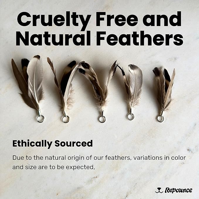 Feather Toys Replacements (3 Pc) - Cat Toys & Kitten Toys for Indoor Kittens, Set of Replacement Feather Attachments Extra Small and Durable, for Cat Wands, Natural and Safe