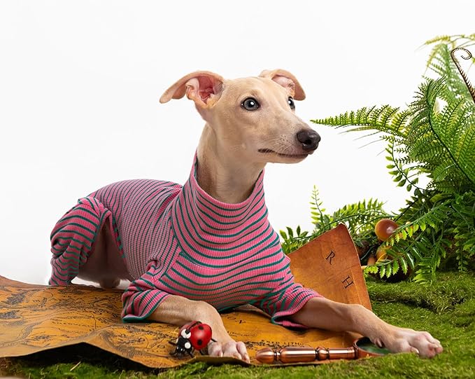 Dog Sweaters for Small Dogs Girls Boys, Striped Pet Sweaters for Fall Winter Dog Clothes, Turtleneck Pullover Knitwear for Small Medium Large Dogs