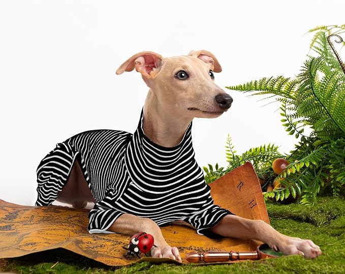 Dog Sweaters for Small Dogs Girls Boys, Striped Pet Sweaters for Fall Winter Dog Clothes, Turtleneck Pullover Knitwear for Small Medium Large Dogs