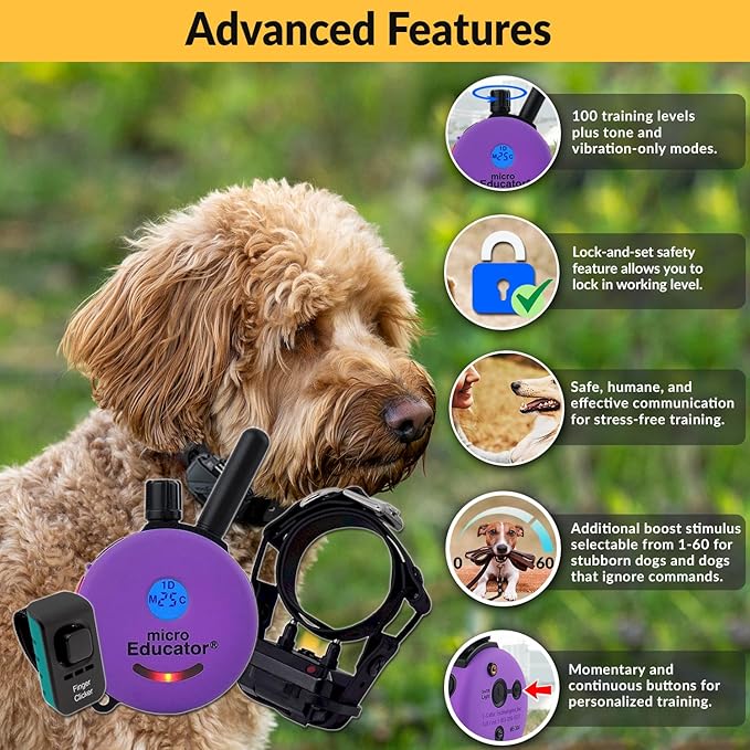 Educator E-Collar Humane Dog Training Collar with Remote, 100 Safe Tapping Stimulation Levels, Night Light, Waterproof, Rechargeable, 1/3 Mile 1 Small Dog Double Bungee Collar Bundle, Purple