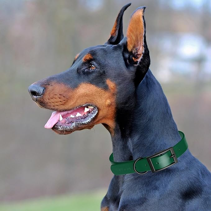 Dogline Biothane Waterproof Dog Collar Strong Coated Nylon Webbing with Black Hardware Odor- Proof for Easy Care Easy to Clean High Performance Fits Small Medium or Large Dogs, Hunter Green