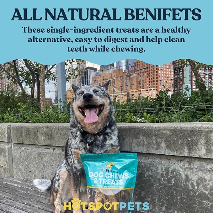 Full-Size Cow Hooves for Dogs (25 Pack) | All-Natural Long Lasting Dog Chews | Made from Grass Fed Cattle | Tasty Treat for Oral Hygiene | Fantastic Alternative for Rawhide and Bully Sticks