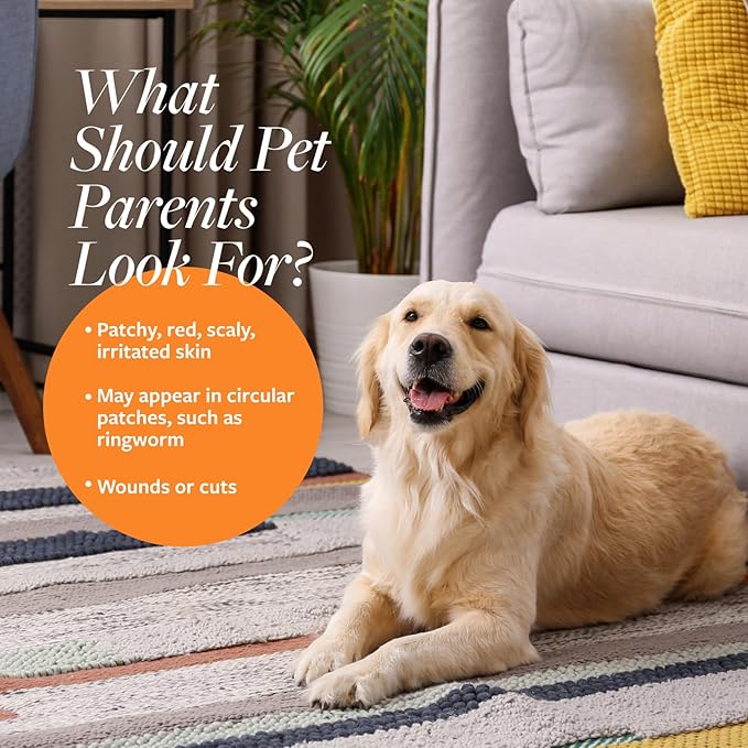 Veterinary Formula Clinical Care Antiseptic and Antifungal Medicated Shampoo for Dogs & Cats, 16 Fl Oz – Helps Alleviate Scaly, Greasy, red Skin – Paraben, Dye, Soap-Free (2 Pack)