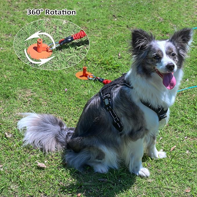 Dog Stakes for Outside Heavy Duty Hold up to 350Lbs Large Dogs Tie Out Tether Leash Chain for Yard Screw in Ground Anchors 17inch with Buffer Rope