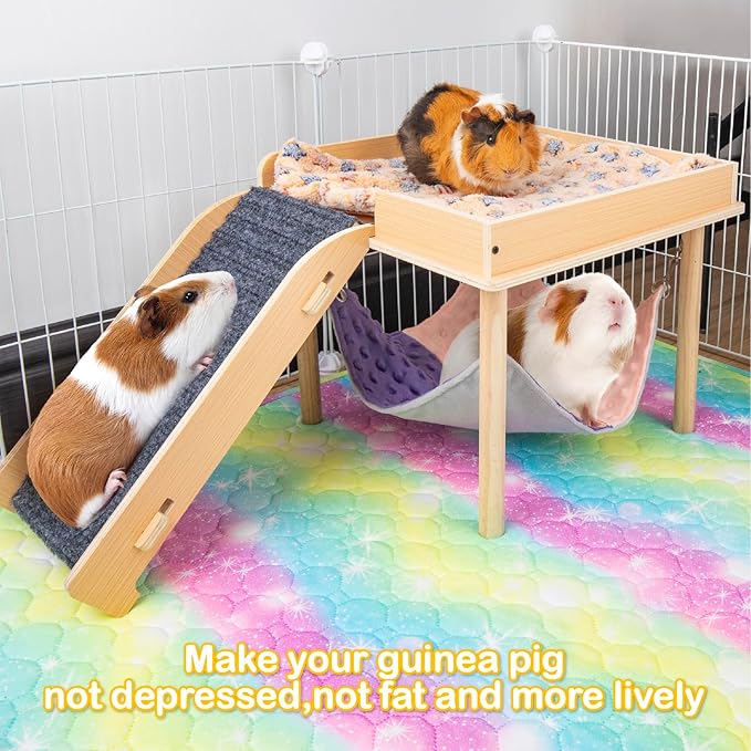 Enlarged Guinea Pig Hammock with Platform and Stairs,Wooden Small Animal Hideout for Guinea Pigs Bunny Ferret Hamster Hiding Sleeping Activities(Single)