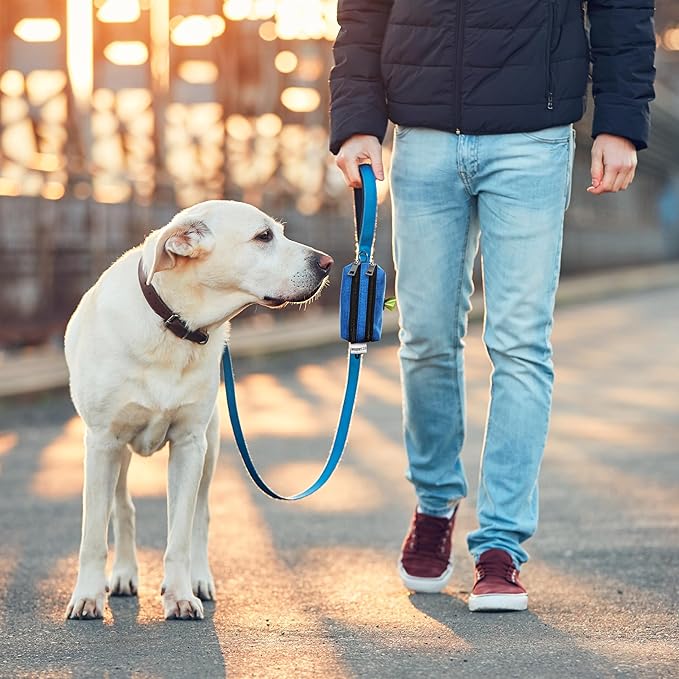 Dog Poop Bag Holder for Leashes - Dog Poop Bag Dispenser and Treat Holder with 2 Waterproof Pouches for Pet Waste Bags and Walking Accessories + 1 Free Roll - Leashrr 2.0 (Blue)