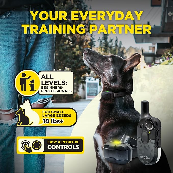 Dogtra 200iQ Remote Training E Collar – 100 Levels, Tone, Vibration, 1/2 Mile Range – Compact, Waterproof, One-Handed Control for Dogs 10 lbs+ – Lightweight Design for Daily Training – Black Leopard