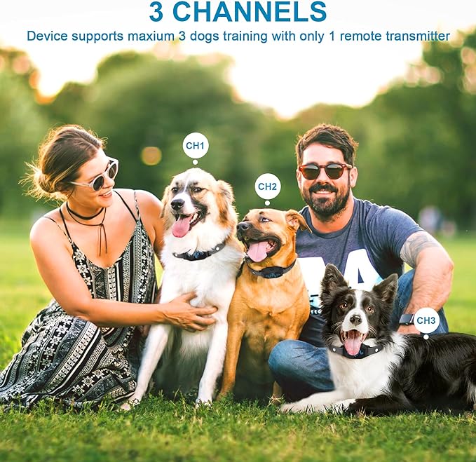 Dog Training Collar, Shock Collars for Dogs with Remote 2 Pack, 4 Training Modes with Rechargeable, 2500ft, IP67 Waterproof for All Breeds, Sizes Small Medium Large