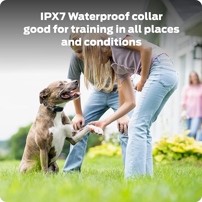 Dog Static Collar - 1000ft Dog Training Collar with Remote Dogs - Rechargeable Waterproof with 3 Training Modes - Tone Vibration & 16 Levels of Safe Static