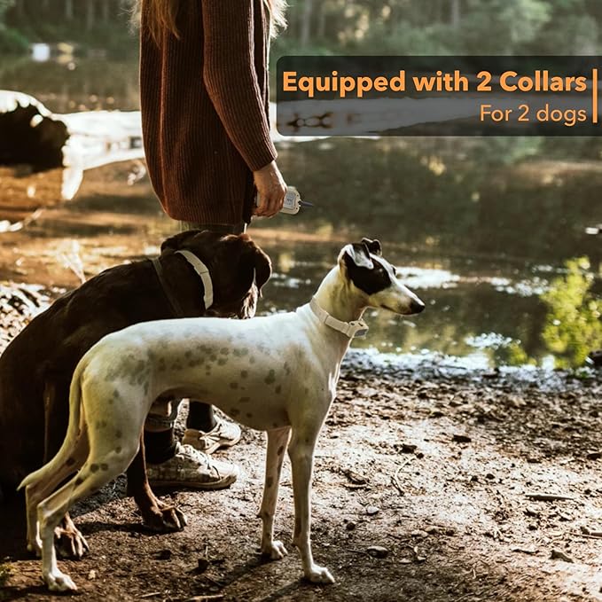 Dog Training Collar 2 Dogs with APP Control - 1/2 Mile Range E Collar for Dogs, Bluetooth-Enabled Waterproof Electric Collar for Large Dogs (15-140 lbs)