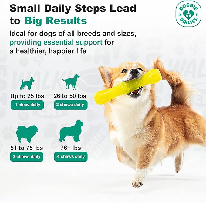 Doggie Dailies Cranberry Supplement for Dogs - Urinary Tract, Bladder & Kidney Support for Dogs - Cranberry for dogs with Marshmallow Root, Licorice Root & Apple Cider Vinegar (Chicken) 225 Soft Chews