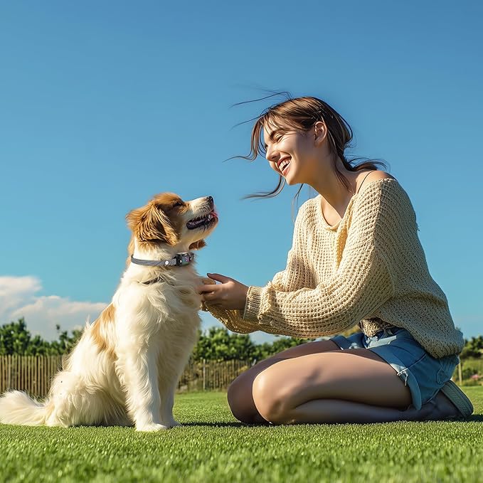 No Shock Bark Collar for Dogs Dog Bark Collar 3 Modes (Sound/Vibe/Dual), Rechargeable, Waterproof, Adjustable Sensitivity, Safe for Small to Medium Dogs