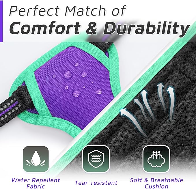 Eagloo Small Dog Harness No Pull, Service Vest with Reflective Strips and Control Handle, Adjustable and Comfortable for Walking, No Choke Pet Harness with 2 Metal Rings, Purple & Green, XS