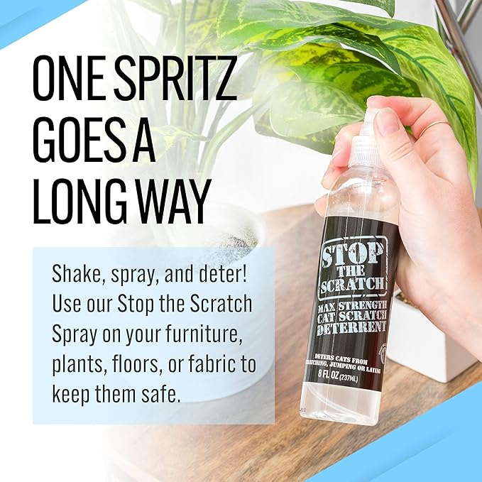 EBPP Stop The Scratch Cat Spray Deterrent for Kittens and Cats - Non-Toxic, Safe for Plants, Furniture, Floors and More Cat Deterrent Spray with Rosemary Oil