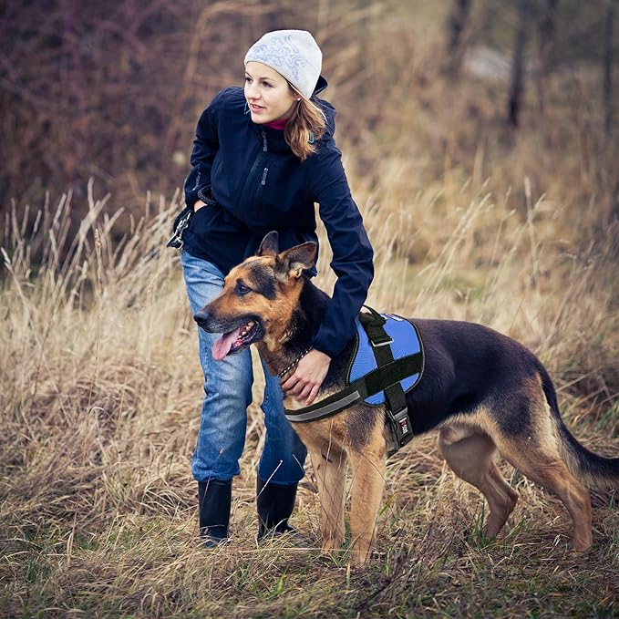 Dogline Dog Harness, Reflective No-Pull Adjustable Vest with Handle for Walking, Training, Breathable, No - Choke Harness for Small, Medium or Large Dogs Room for Patches Girth 15 to 18 in Cyan Blue