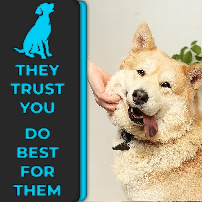 Pin Comb by H&H Pets - Upgraded Rubber Handle Comb with Long and Short Teeth for Dogs & Cats, Grooming Supplies, 1 Count (Pack of 1)