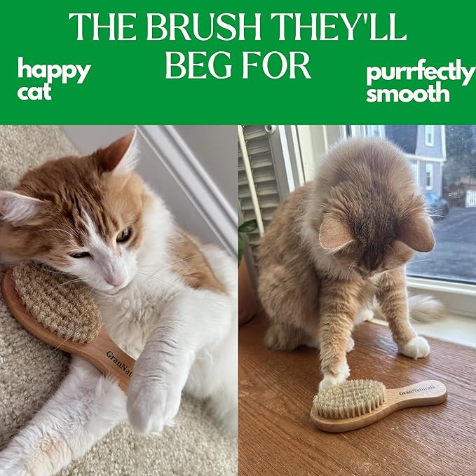 GranNaturals Boar Bristle Soft Cat Brush for Indoor, Outdoor, Short Haired Cats, Kittens, Small Dog, Rabbit, Furry Pets - Gentle Grooming on Sensitive Hair Coat & Tail with Durable Wooden Handle