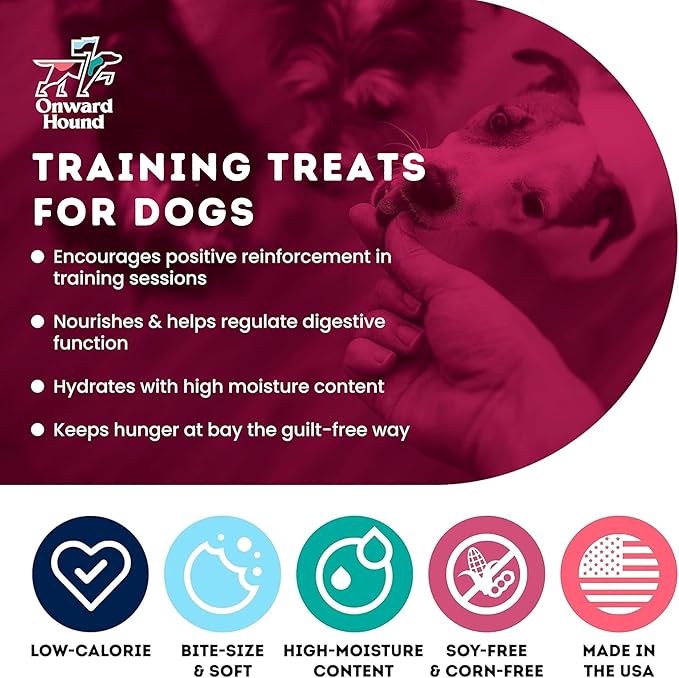 Training Treats for Dogs - Soft Bacon - Low Calorie Dog Training Treats for Sensitive Stomachs with Single Source Premium Protein, Corn Free, & Soy Free Formula - 10 oz