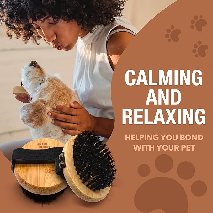 The Buddy System Pet Close Brush, Soft Touch Oval Palm Brush - Bamboo Massage Handheld with Soft Boar Bristles and Elastic Band for Dogs and Cats 2 Pack